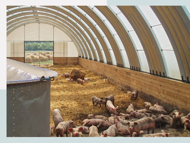 Строительство свинарников в Егорьевске