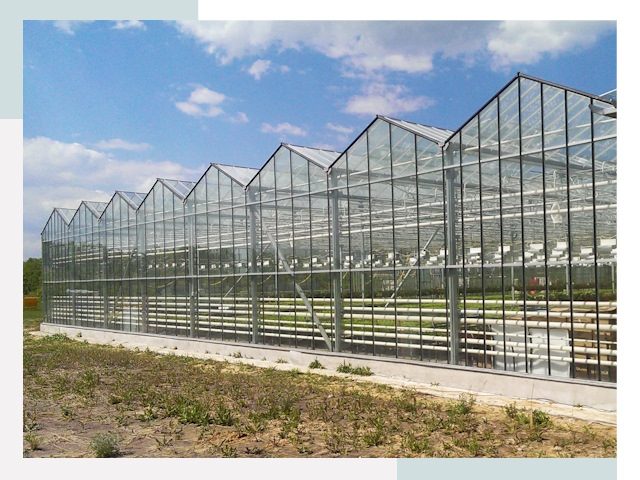 Строительство теплиц в Егорьевск от 608 руб. за м²